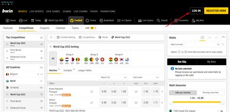 bwin south africa|Bet online on Basketball in South Africa .